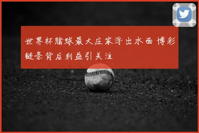 世界杯赌球最大庄家浮出水面 博彩链条背后利益引关注