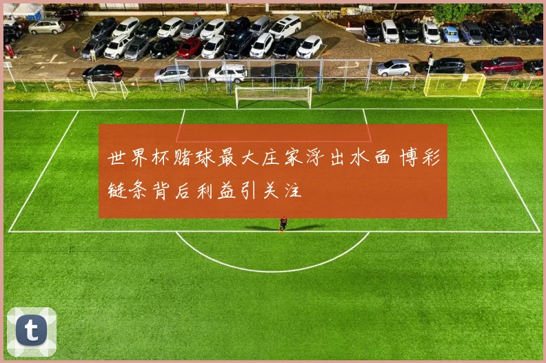 世界杯赌球最大庄家浮出水面 博彩链条背后利益引关注