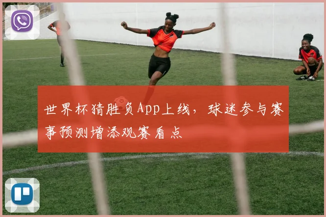 世界杯猜胜负App上线，球迷参与赛事预测增添观赛看点