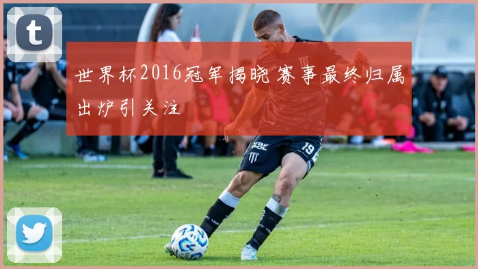 世界杯2016冠军揭晓 赛事最终归属出炉引关注