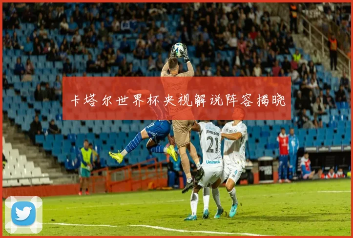 卡塔尔世界杯央视解说阵容揭晓