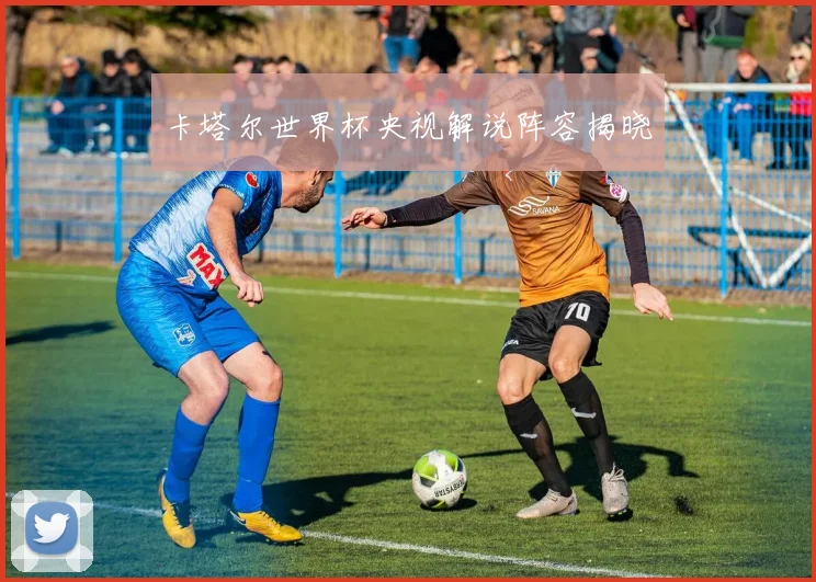 卡塔尔世界杯央视解说阵容揭晓