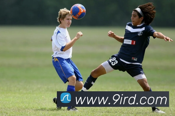 詹姆斯关键三分助湖人逆转掘金总决赛战况激烈